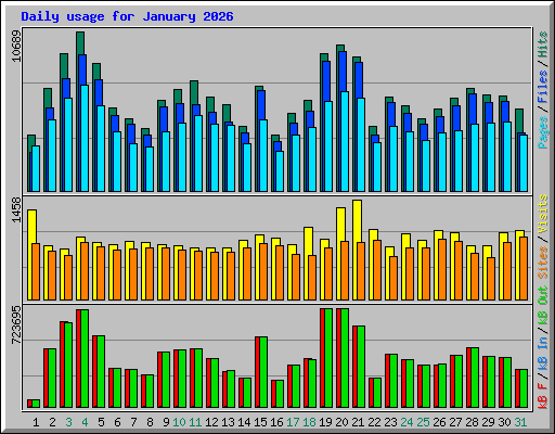 Daily usage for January 2026