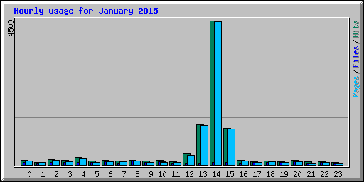 Hourly usage for January 2015