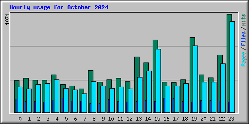 Hourly usage for October 2024