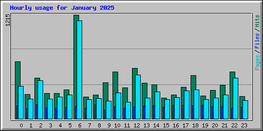 Hourly usage for January 2025