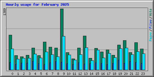 Hourly usage for February 2025