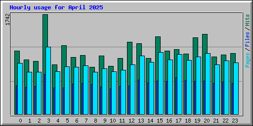 Hourly usage for April 2025