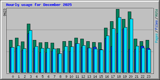 Hourly usage for December 2025