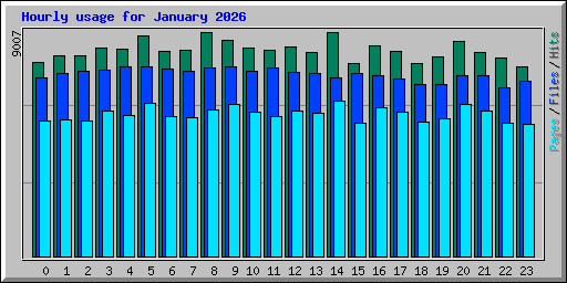 Hourly usage for January 2026