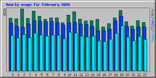 Hourly usage for February 2026